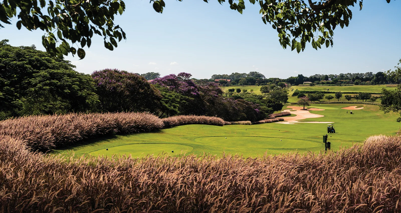 2 campos de golf por Arnold Palmer e Randall Thompson